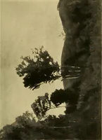 An illustration from Modern paintings by German and Austrian masters (1916)