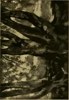 An illustration from Modern paintings by German and Austrian masters (1916)