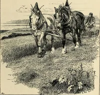 An illustration from Modern pen drawings: European and American; (1901)