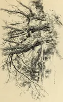 An illustration from Modern pen drawings: European and American; (1901)