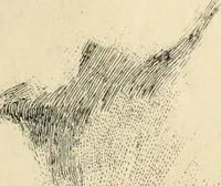 An illustration from Modern pen drawings: European and American; (1901)