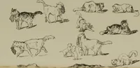 An illustration from Modern pen drawings: European and American; (1901)