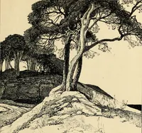 An illustration from Modern pen drawings: European and American; (1901)