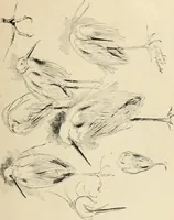 An illustration from Modern pen drawings: European and American; (1901)
