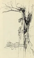 An illustration from Modern pen drawings: European and American; (1901)
