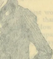 An illustration from Modern pen drawings: European and American; (1901)