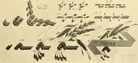 An illustration from Modern show card lettering, designs and advertising phases; (1906)