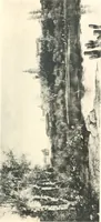 An illustration from Modern Spanish painting; being a review of some of the chief painters and paintings of the Spanish school since the time of Goya (1908)
