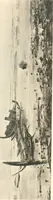 An illustration from Modern Spanish painting; being a review of some of the chief painters and paintings of the Spanish school since the time of Goya (1908)