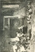 An illustration from Modern Spanish painting; being a review of some of the chief painters and paintings of the Spanish school since the time of Goya (1908)