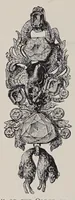 Picture 15 of 18 from Modes & manners ornaments: lace, fans, gloves, walking-sticks, parasols, jewelry and trinkets (1929), leaf 254