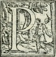 An illustration from Modo del dividere l'allvvioni da qvello di Bartolo, et de gli agrimensori diverso. Mostrato con ragioni mathematiche & con pratica (1579)