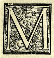 An illustration from Modo di formare con prestezza le moderne battaglie di picche, archibvgieri, et cavalleria : con tre avisi del modo del marchiare, in modo di dialogo (1571)