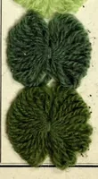 An illustration from Möglichst lichtechte Nüancen auf Wollgarn : hergestellt mit sauerziehenden Farbstoffen (1930)