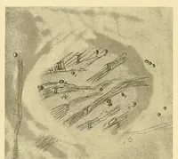 An illustration from Mond-Atlas; nach seinen an der Pia-Stern-warte in Triest angestellten Beobachtungen unter Zugrundelegung der hinterlassenen Zeichnungen und Skizzen. Bearbeitet und mit Unterstützung der kaiserl (1912)