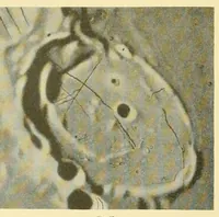 An illustration from Mond-Atlas; nach seinen an der Pia-Stern-warte in Triest angestellten Beobachtungen unter Zugrundelegung der hinterlassenen Zeichnungen und Skizzen. Bearbeitet und mit Unterstützung der kaiserl (1912)
