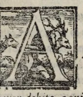 Picture 17 of 50 from Mondi celesti, terrestri et infernali, de gli Academici Pellegrini (1562), leaf 261