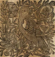 An illustration from Mondo simbolico : formato d'imprese scelte, spiegate, ed illustrate con sentenze ed eruditioni, sacre e profane : in questa impressione da mille e mille parti ampliato (1669)