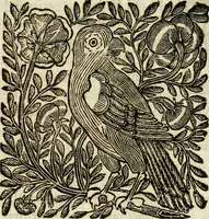 An illustration from Mondo simbolico : formato d'imprese scelte, spiegate, ed illustrate con sentenze ed eruditioni, sacre e profane : in questa impressione da mille e mille parti ampliato (1669)