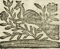 An illustration from Mondo simbolico : formato d'imprese scelte, spiegate, ed illustrate con sentenze ed eruditioni, sacre e profane : in questa impressione da mille e mille parti ampliato (1669)