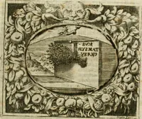 Picture 40 of 73 from Mondo simbolico : o sia vniversita d'imprese scelte, spiegate, ed' illvstrate con sentenze, ed eruditioni sacre, e profane (1653), leaf 364
