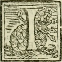 An illustration from Mondo simbolico : o sia vniversita d'imprese scelte, spiegate, ed' illvstrate con sentenze, ed eruditioni sacre, e profane (1653)