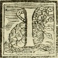 An illustration from Mondo simbolico : o sia vniversita d'imprese scelte, spiegate, ed' illvstrate con sentenze, ed eruditioni sacre, e profane (1653)
