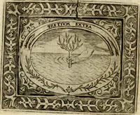 An illustration from Mondo simbolico, o sia, Vniuersita' d'imprese scelte, spiegate, ed' illustrate con sentenze ed eruditioni sacre e profane (1653)