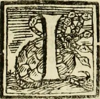 An illustration from Mondo simbolico, o sia, Vniuersita' d'imprese scelte, spiegate, ed' illustrate con sentenze ed eruditioni sacre e profane (1653)