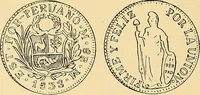 Picture 180 of 480 from Monetario americano (ilustrado) clasificado (1892), leaf 233