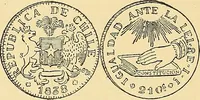 Picture 253 of 480 from Monetario americano (ilustrado) clasificado (1892), leaf 329