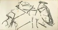 Picture 3 of 5 from A monograph of the fossil Reptilia of the Liassic formations (1861), leaf 317