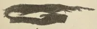 An illustration from A Montauk cemetery at Easthampton, Long island (1920)