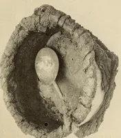 An illustration from A Montauk cemetery at Easthampton, Long island (1920)
