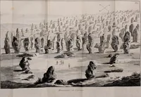 Picture 1 of 9 from Monumens celtiques; ou, Recherches sur le culte des pierres, précédées d'une notice sur les Celtes et sur les druides, et suivies d'étymologies celtiques (1805), leaf 478