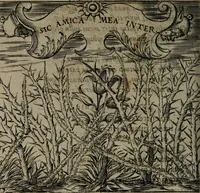 An illustration from Monumenta emblematorum Christianorum virtutum : tum politicarum, tum oeconomicarum chorum centuria una adumbrantia. ... (1619)