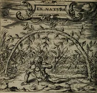 An illustration from Monumenta emblematorum Christianorum virtutum : tum politicarum, tum oeconomicarum chorum centuria una adumbrantia. ... (1619)