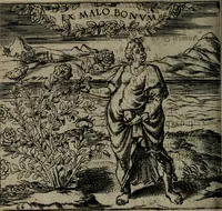 An illustration from Monumenta emblematorum Christianorum virtutum : tum politicarum, tum oeconomicarum chorum centuria una adumbrantia. ... (1619)