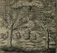 An illustration from Monumenta emblematorum Christianorum virtutum : tum politicarum, tum oeconomicarum chorum centuria una adumbrantia. ... (1619)