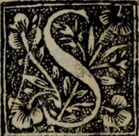 An illustration from Monumenta emblematorum Christianorum virtutum : tum politicarum, tum oeconomicarum chorum centuria una adumbrantia. ... (1619)