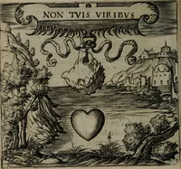 An illustration from Monumenta emblematorum Christianorum virtutum : tum politicarum, tum oeconomicarum chorum centuria una adumbrantia. ... (1619)
