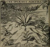 An illustration from Monumenta emblematorum Christianorum virtutum : tum politicarum, tum oeconomicarum chorum centuria una adumbrantia. ... (1619)