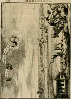 Picture 39 of 61 from Monumenta Paderbornensia : ex historia Romana, Francica, Saxonica eruta, et novis inscriptionibus, figuris, tabulis geographicis & notis illustrata. Accedunt Caroli M. Capitulatio de partibus Saxoniae, ex antiquissimo MS. Palatino Bibliothecae Vaticanae, & Panegyricus Paderbornensis (1672), leaf 301