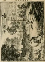 Picture 40 of 61 from Monumenta Paderbornensia : ex historia Romana, Francica, Saxonica eruta, et novis inscriptionibus, figuris, tabulis geographicis & notis illustrata. Accedunt Caroli M. Capitulatio de partibus Saxoniae, ex antiquissimo MS. Palatino Bibliothecae Vaticanae, & Panegyricus Paderbornensis (1672), leaf 309