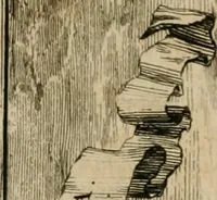 Picture 47 of 61 from Monumenta Paderbornensia : ex historia Romana, Francica, Saxonica eruta, et novis inscriptionibus, figuris, tabulis geographicis & notis illustrata. Accedunt Caroli M. Capitulatio de partibus Saxoniae, ex antiquissimo MS. Palatino Bibliothecae Vaticanae, & Panegyricus Paderbornensis (1672), leaf 339
