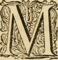 Picture 57 of 61 from Monumenta Paderbornensia : ex historia Romana, Francica, Saxonica eruta, et novis inscriptionibus, figuris, tabulis geographicis & notis illustrata. Accedunt Caroli M. Capitulatio de partibus Saxoniae, ex antiquissimo MS. Palatino Bibliothecae Vaticanae, & Panegyricus Paderbornensis (1672), leaf 476