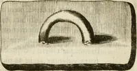 An illustration from Monumenta Patauina, Sertorii Vrsati studio collecta, digesta, explicata, suisque iconibus expressa (1652)