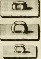 An illustration from Monumenta Patauina, Sertorii Vrsati studio collecta, digesta, explicata, suisque iconibus expressa (1652)