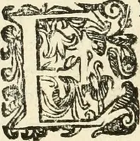 An illustration from Monumenta Patauina, Sertorii Vrsati studio collecta, digesta, explicata, suisque iconibus expressa (1652)