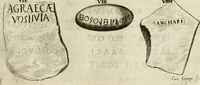 Picture 104 of 159 from Monumenta Patauina, Sertorii Vrsati studio collecta, digesta, explicata, suisque iconibus expressa (1652), leaf 236